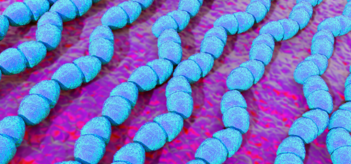 GeneProof VRE PCR Kiti