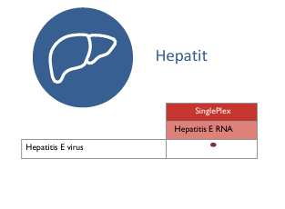 Hepatit