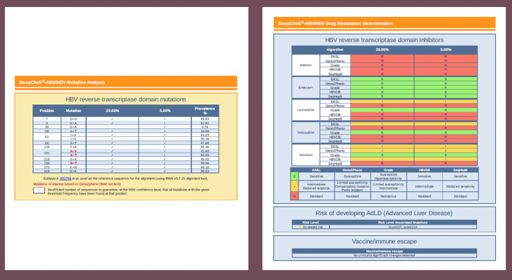 DeepChek<sup>&reg;</sup> Testi Tüm Genom HBV Genotiplemesi