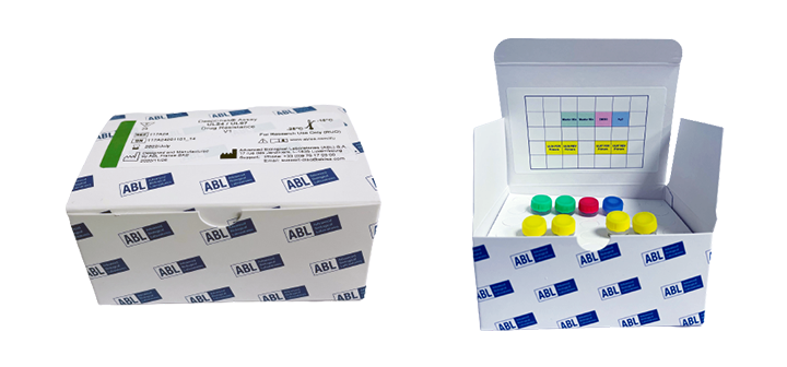 DeepChek<sup>&reg;</sup> Testi Tüm Genom BKV Genotiplendirme Kiti