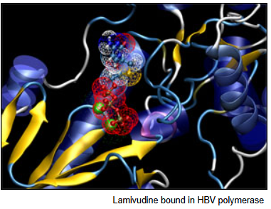 SeqHepB – Hepatit B Viral Genom Analizi