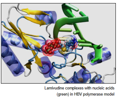 SeqHepB – Hepatit B Viral Genom Analizi