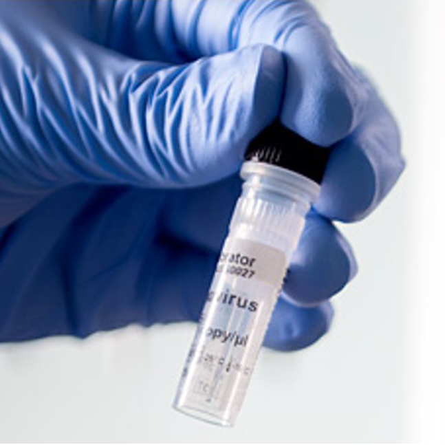 Gerçek Zamanlı PCR Test Portföyü