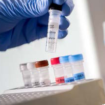 Sinir Sistemi Enfeksiyonları