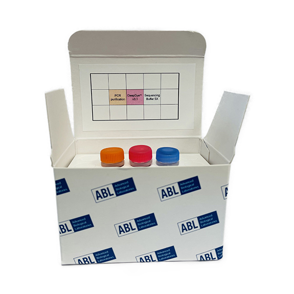 Kapiler Elektroforez Dizileme (SANGER)