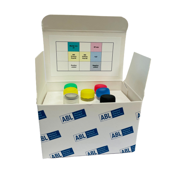 SARS-CoV-2 (Yeni Koronavirüs)