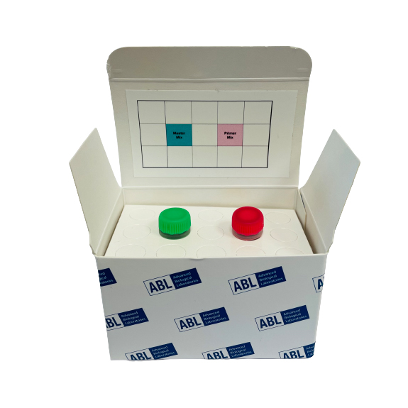 Mycobacterium tuberculosis (Verem Etkeni)