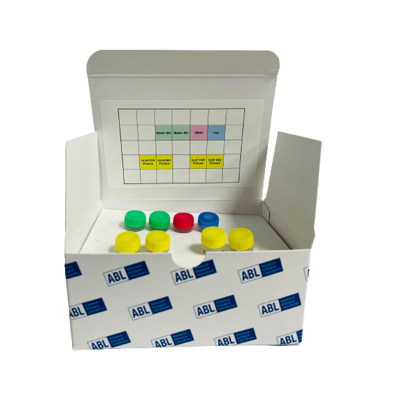 Sitomegalovirüs (CMV)