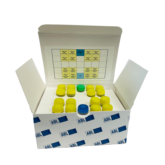 Herpes Simpleks Virüsü (HSV)