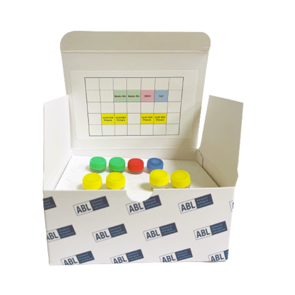 DeepChek<sup>&reg;</sup> Assay UL54 / UL97 Drug Resistance